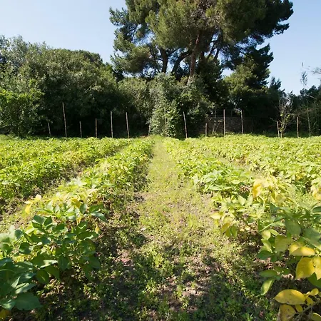 Bagnitiello * كازاميتْشيولا تيرمي