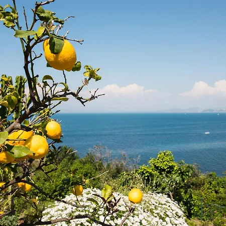 فندق Bagnitiello *