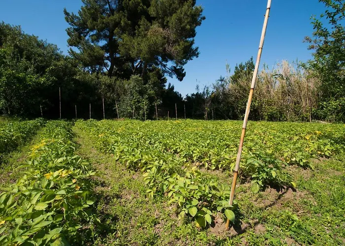 Bagnitiello Casamicciola Terme
