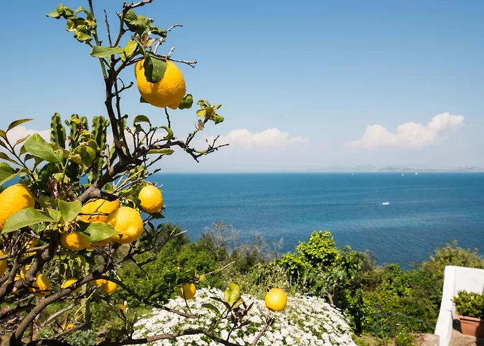 Ξενοδοχείο Bagnitiello *