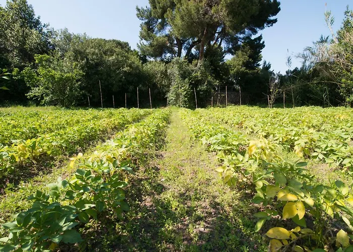 Bagnitiello * Casamicciola Terme